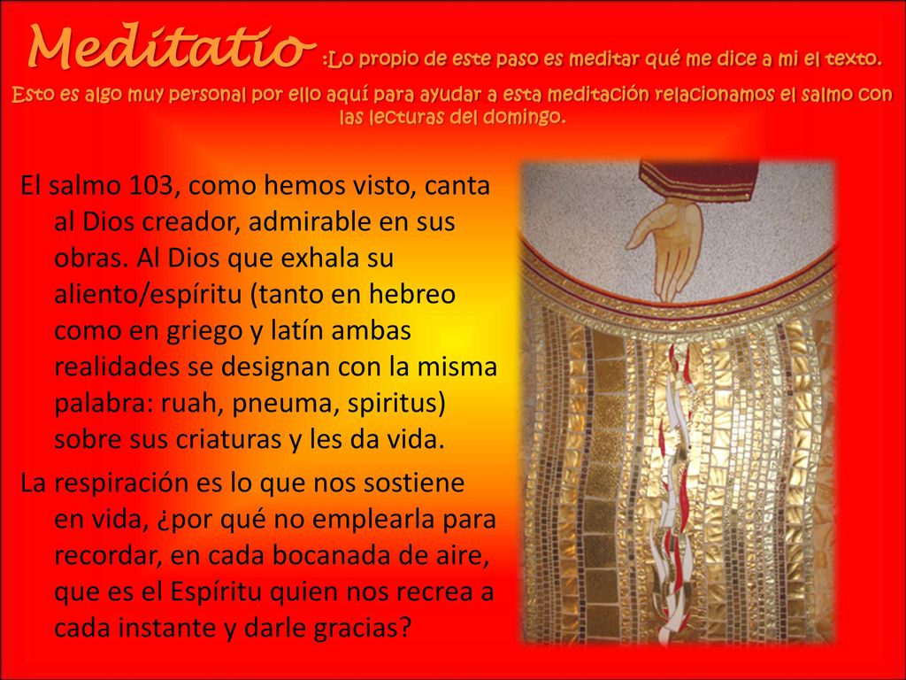 Meditatio :Lo propio de este paso es meditar qué me dice a mi el texto