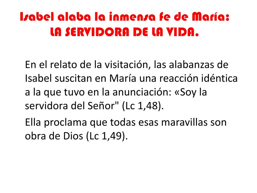 Isabel alaba la inmensa fe de María: LA SERVIDORA DE LA VIDA.