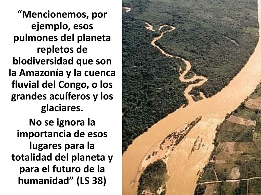 Mencionemos, por ejemplo, esos pulmones del planeta repletos de biodiversidad que son la Amazonía y la cuenca fluvial del Congo, o los grandes acuíferos y los glaciares.
