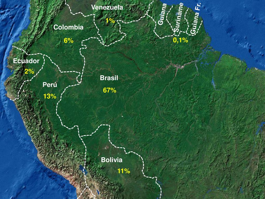 Venezuela Guiana Suriname Guiana Fr. 1% Colombia 6% 0,1% Ecuador 2% Brasil Perú 67% 13% Bolivia 11%