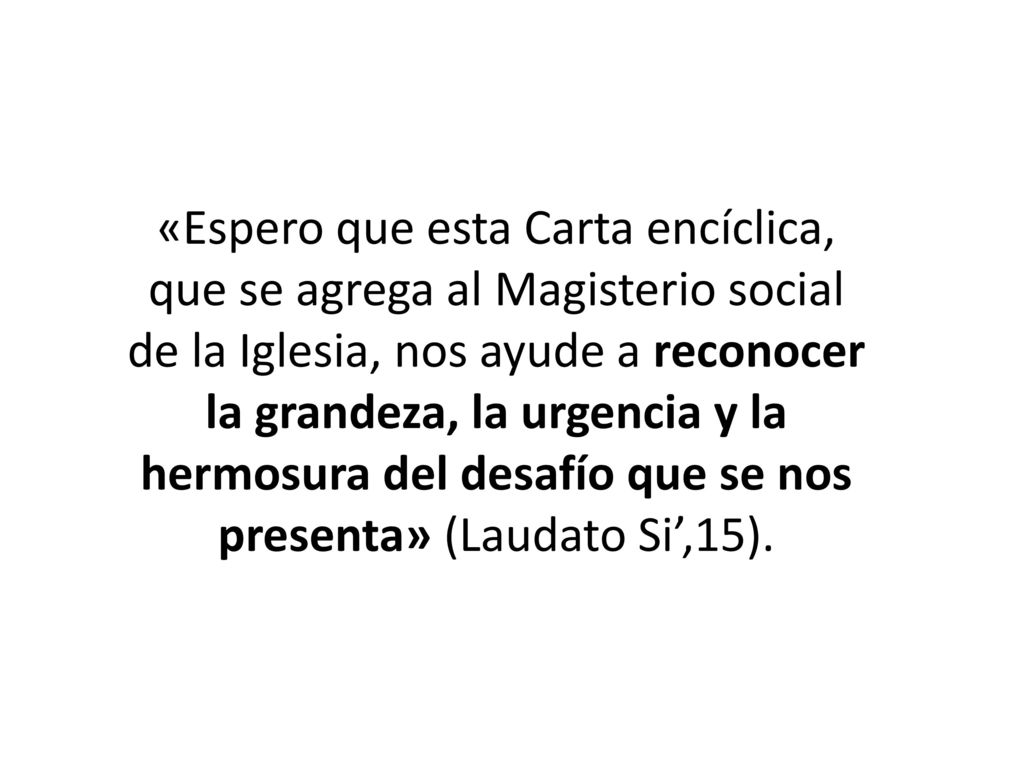«Espero que esta Carta encíclica, que se agrega al Magisterio social de la Iglesia, nos ayude a reconocer la grandeza, la urgencia y la hermosura del desafío que se nos presenta» (Laudato Si’,15).