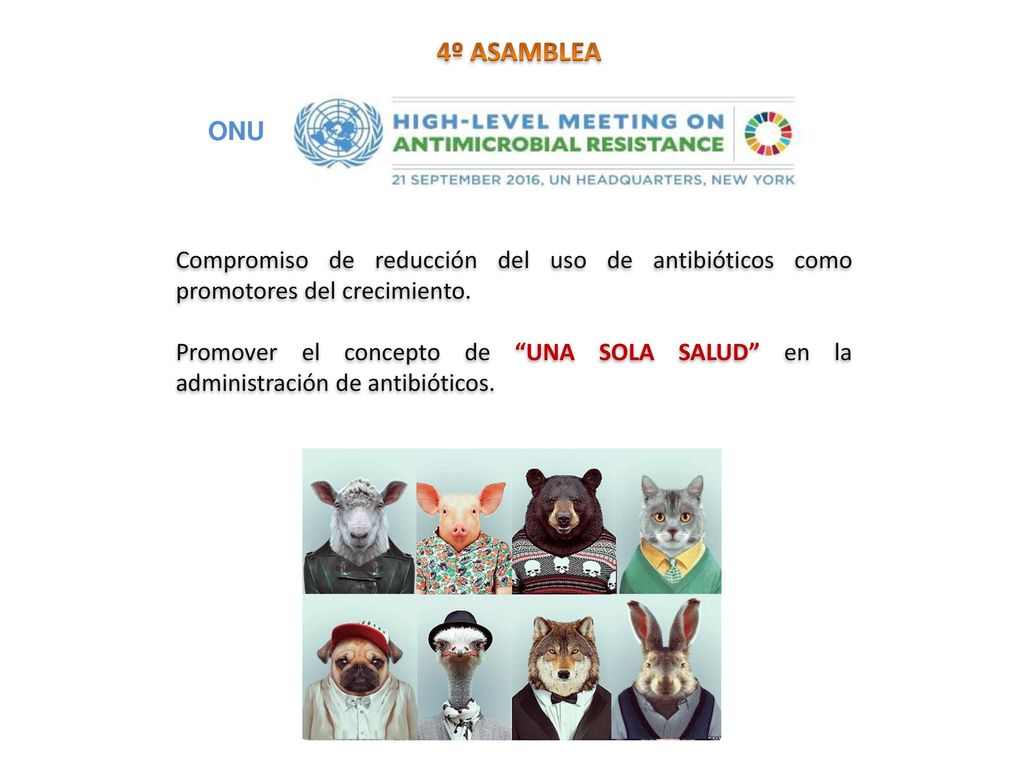 4º ASAMBLEA ONU. Compromiso de reducción del uso de antibióticos como promotores del crecimiento.