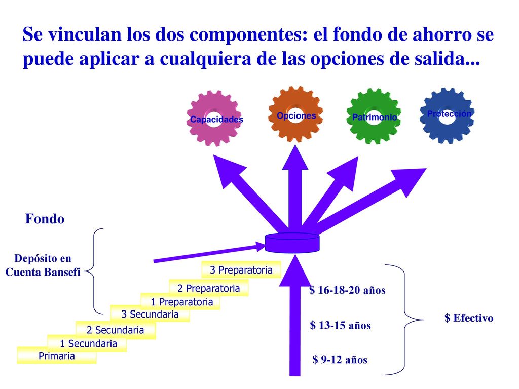 Se vinculan los dos componentes: el fondo de ahorro se puede aplicar a cualquiera de las opciones de salida...