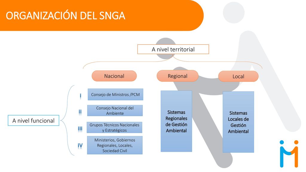 ORGANIZACIÓN DEL SNGA A nivel territorial A nivel funcional Nacional