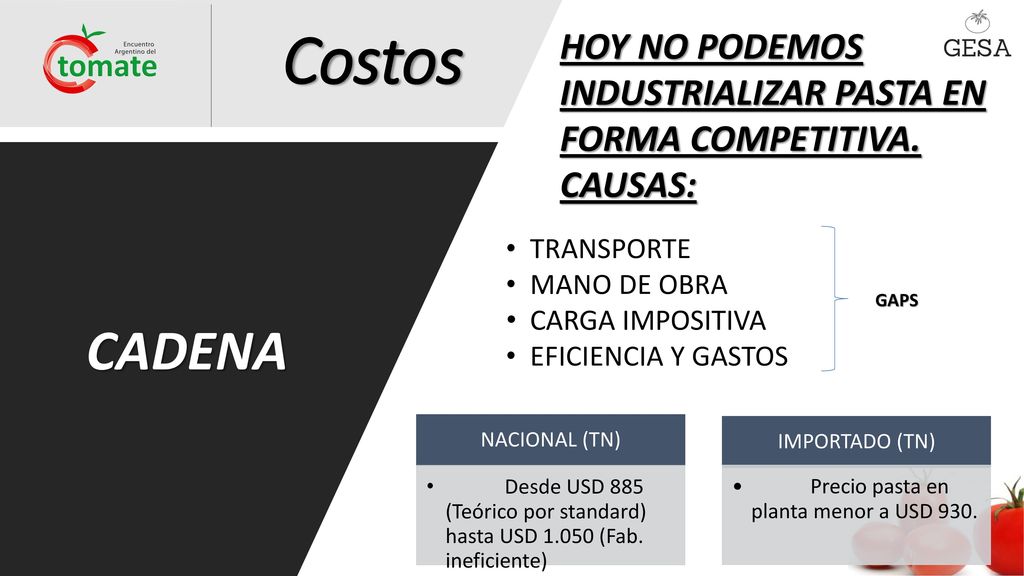 Costos HOY NO PODEMOS INDUSTRIALIZAR PASTA EN FORMA COMPETITIVA. CAUSAS: CADENA. TRANSPORTE. MANO DE OBRA.
