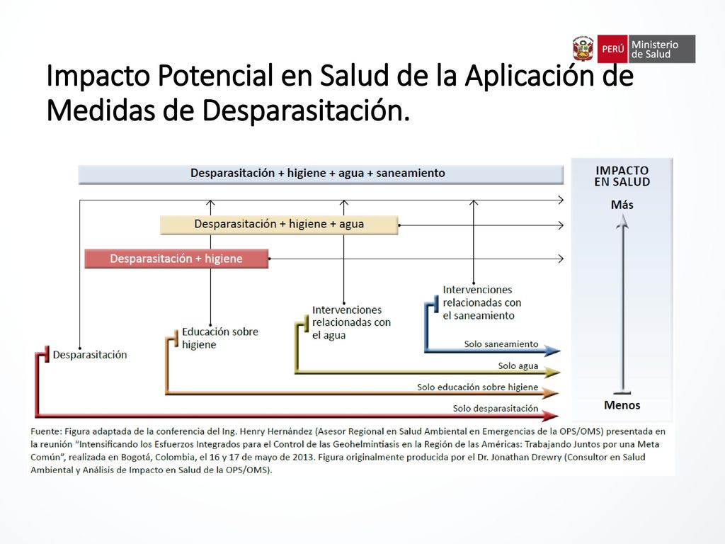 Impacto Potencial en Salud de la Aplicación de Medidas de Desparasitación.