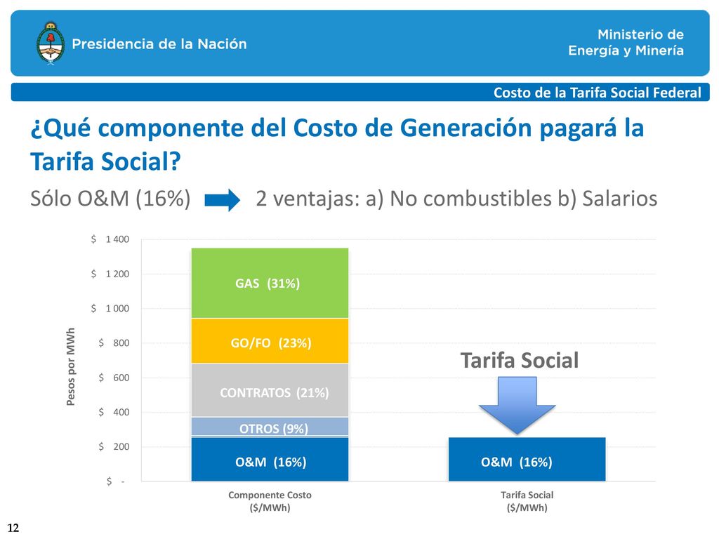 ¿Qué componente del Costo de Generación pagará la Tarifa Social