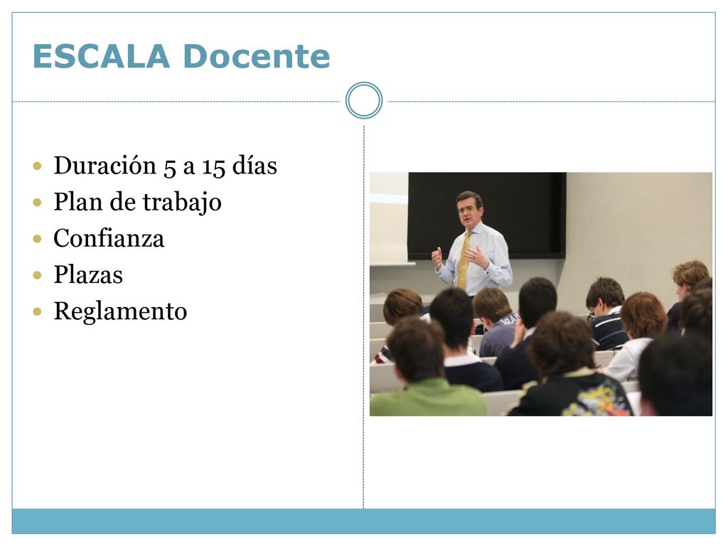 ESCALA Docente Duración 5 a 15 días Plan de trabajo Confianza Plazas