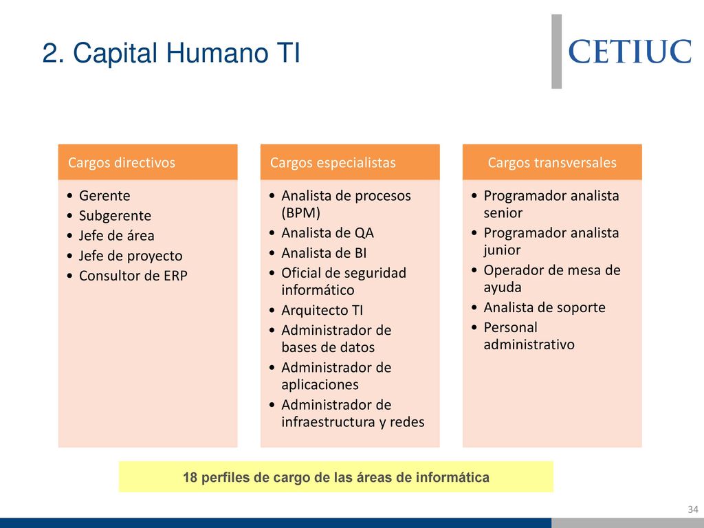 18 perfiles de cargo de las áreas de informática
