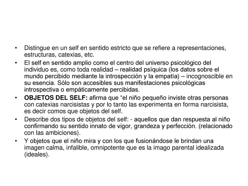 Distingue en un self en sentido estricto que se refiere a representaciones, estructuras, catexias, etc.