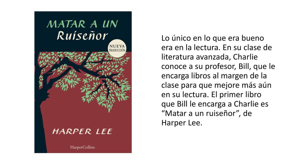 Lo único en lo que era bueno era en la lectura