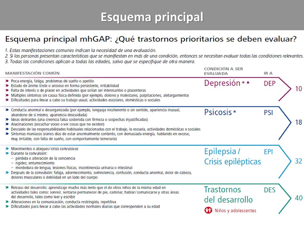 Esquema principal Asegúrese de que todos los participantes estén en las mismas páginas (páginas 7 y 9) de la guía.