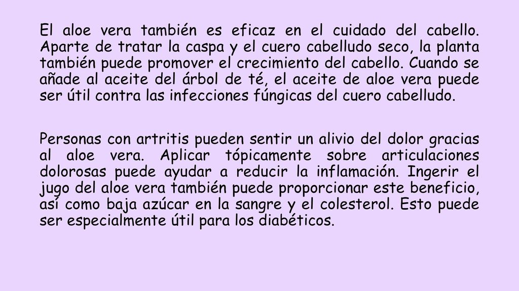 El aloe vera también es eficaz en el cuidado del cabello