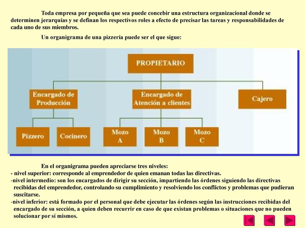 Toda empresa por pequeña que sea puede concebir una estructura organizacional donde se determinen jerarquías y se definan los respectivos roles a efecto de precisar las tareas y responsabilidades de cada uno de sus miembros.