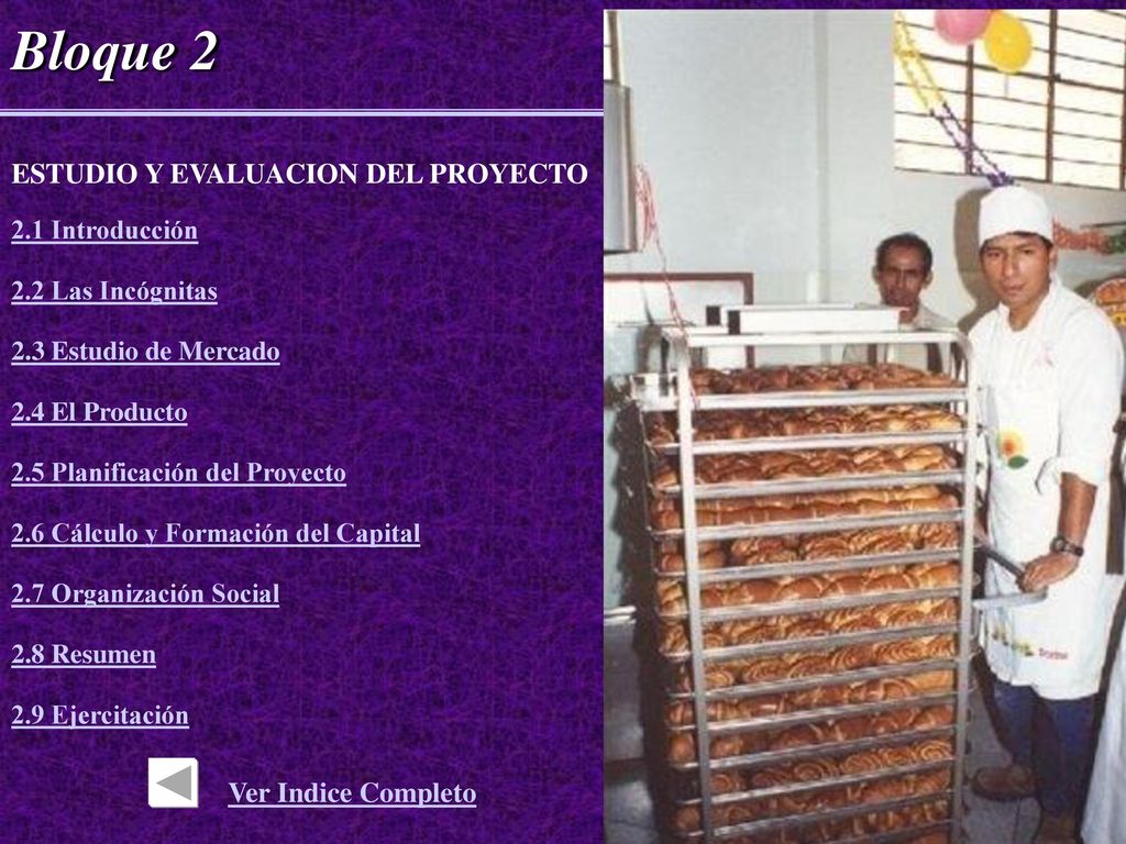 Bloque 2 ESTUDIO Y EVALUACION DEL PROYECTO Ver Indice Completo