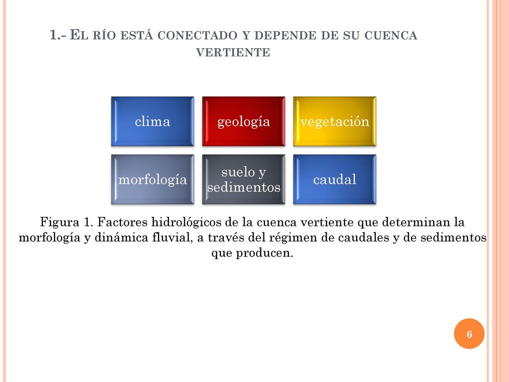 1.- El río está conectado y depende de su cuenca vertiente