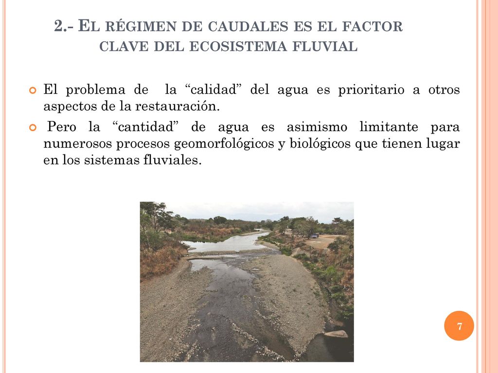 2.- El régimen de caudales es el factor clave del ecosistema fluvial