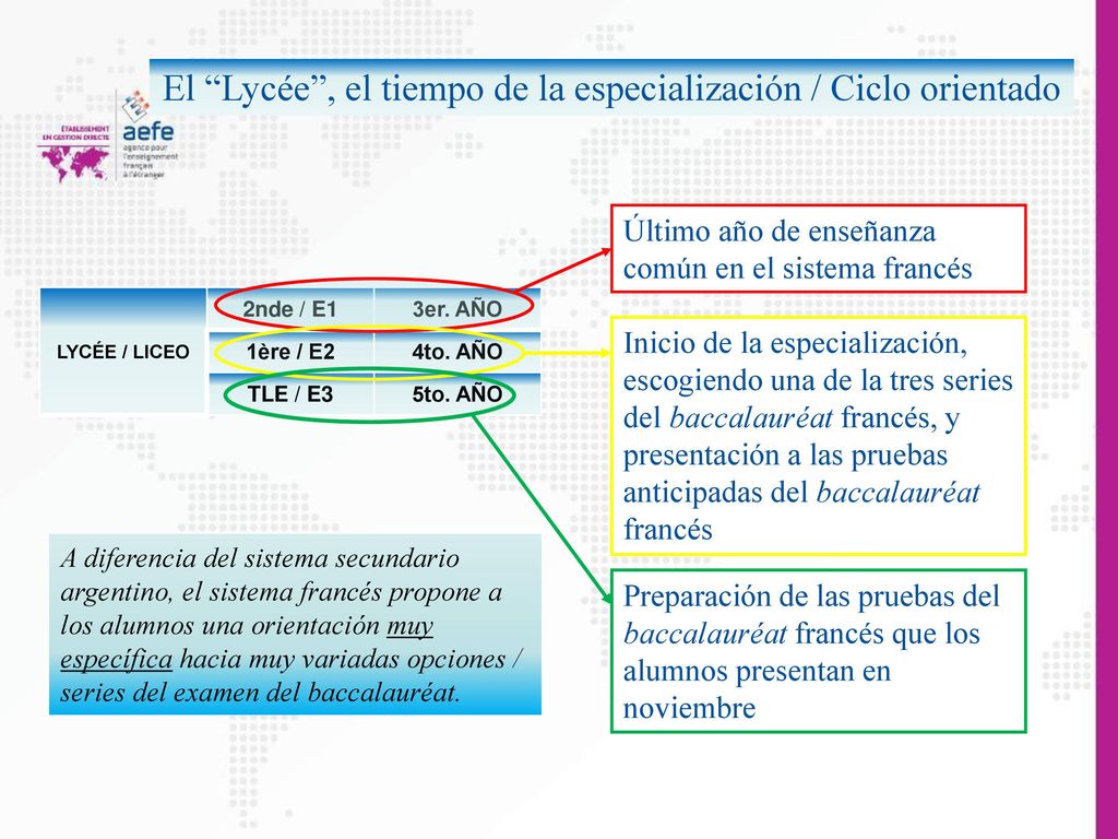 El Lycée , el tiempo de la especialización / Ciclo orientado