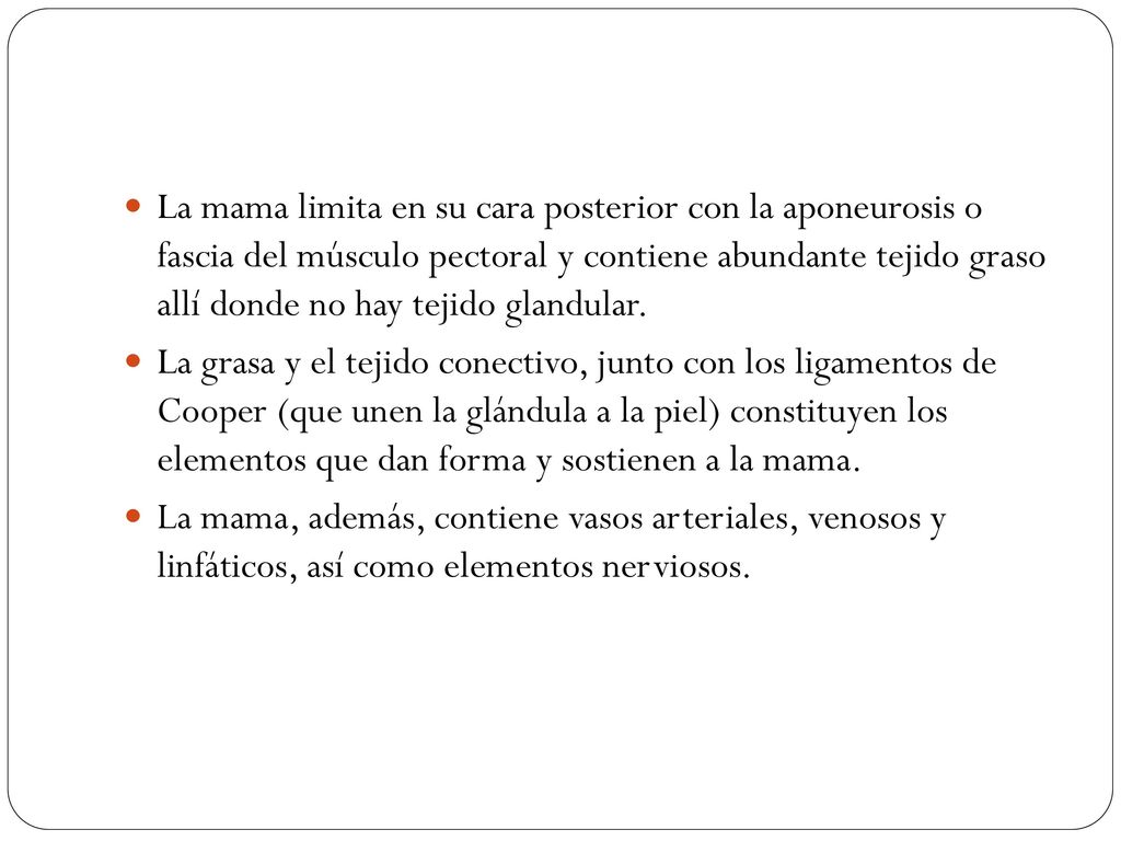 La mama limita en su cara posterior con la aponeurosis o fascia del músculo pectoral y contiene abundante tejido graso allí donde no hay tejido glandular.