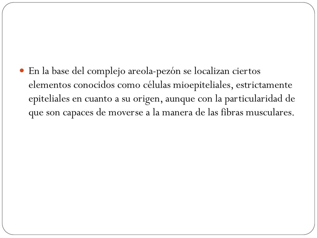En la base del complejo areola-pezón se localizan ciertos elementos conocidos como células mioepiteliales, estrictamente epiteliales en cuanto a su origen, aunque con la particularidad de que son capaces de moverse a la manera de las fibras musculares.