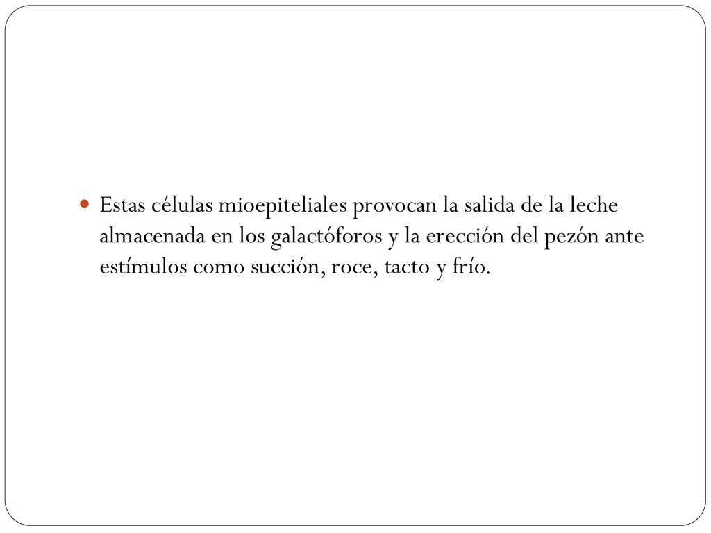 Estas células mioepiteliales provocan la salida de la leche almacenada en los galactóforos y la erección del pezón ante estímulos como succión, roce, tacto y frío.