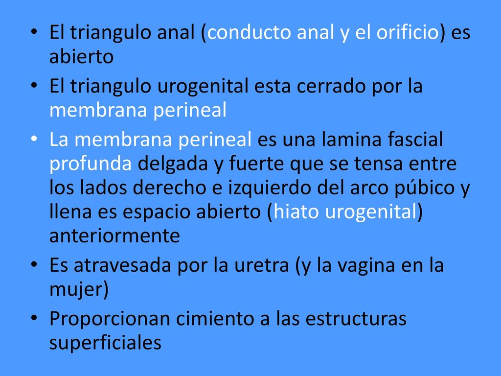 El triangulo anal (conducto anal y el orificio) es abierto