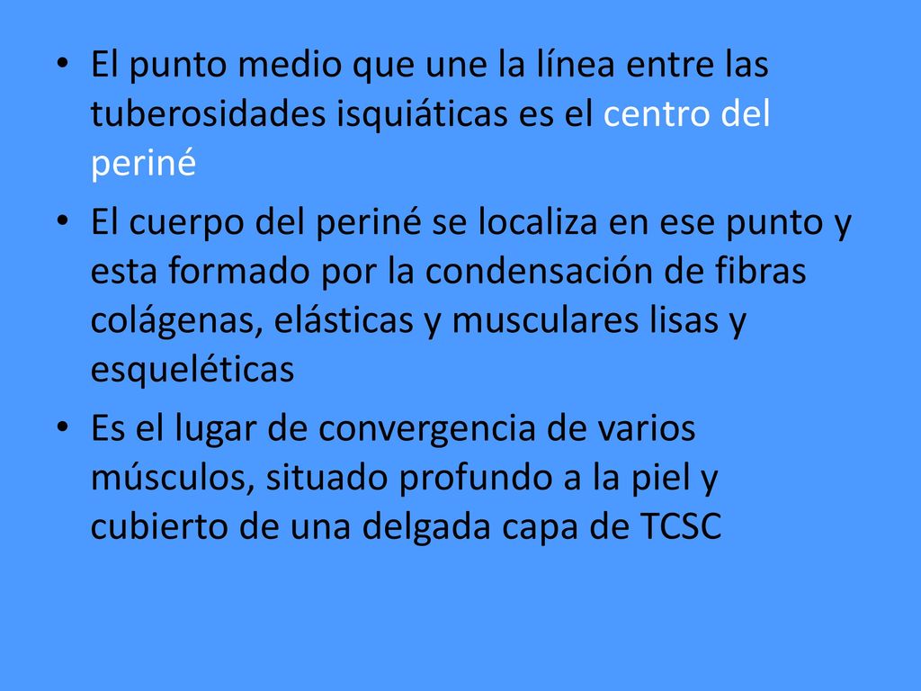 El punto medio que une la línea entre las tuberosidades isquiáticas es el centro del periné