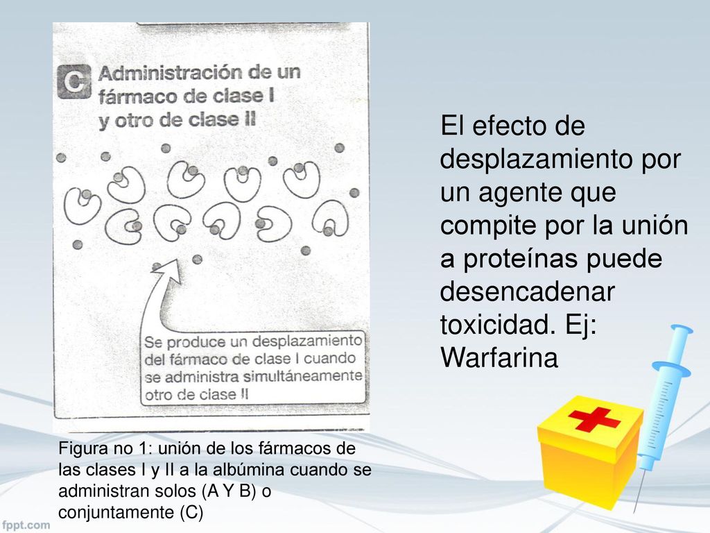 El efecto de desplazamiento por un agente que compite por la unión a proteínas puede desencadenar toxicidad. Ej: Warfarina
