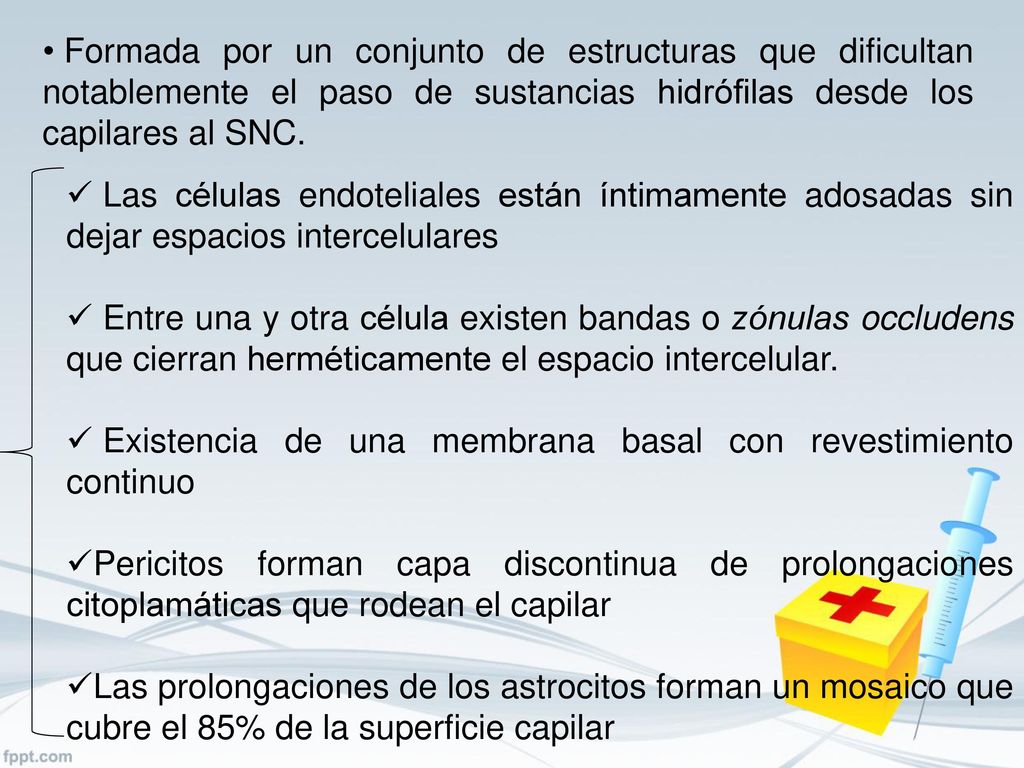 Formada por un conjunto de estructuras que dificultan notablemente el paso de sustancias hidrófilas desde los capilares al SNC.