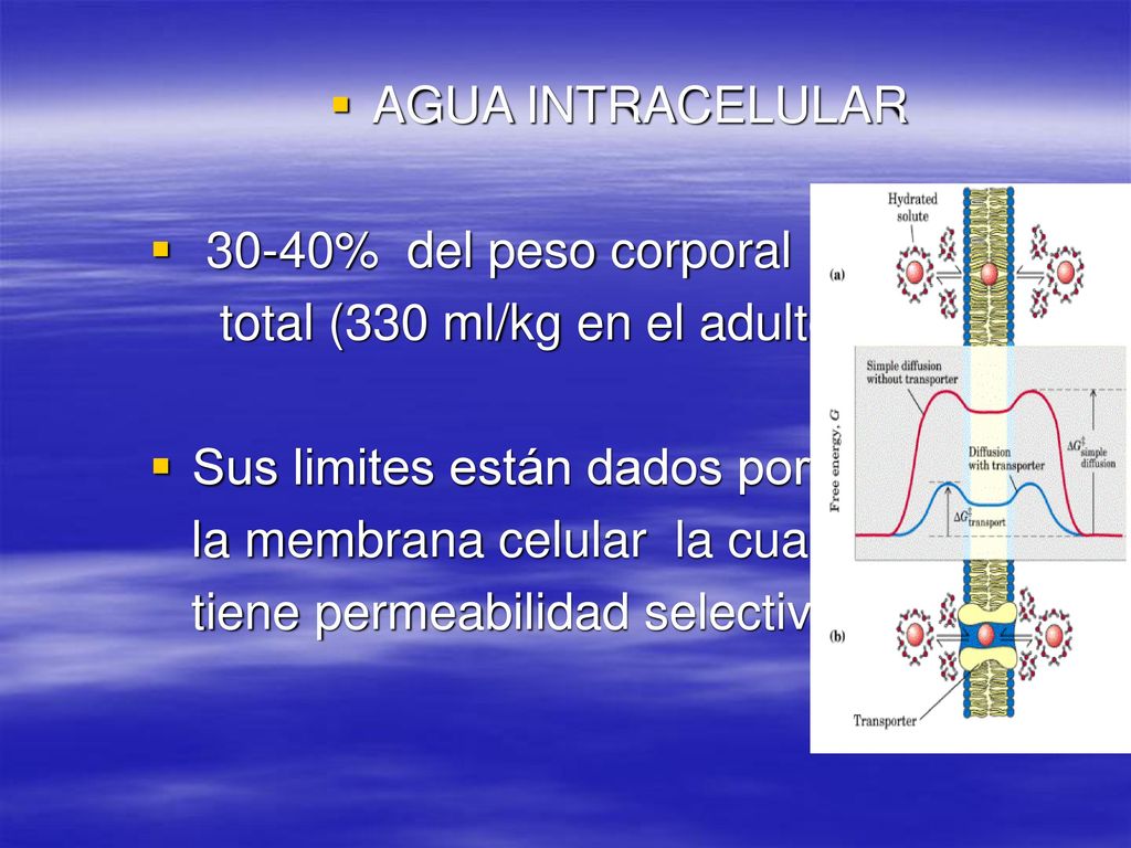 total (330 ml/kg en el adulto) Sus limites están dados por