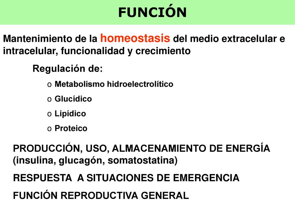 FUNCIÓN Mantenimiento de la homeostasis del medio extracelular e intracelular, funcionalidad y crecimiento.