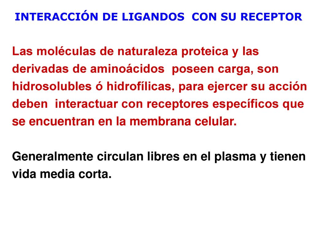 Generalmente circulan libres en el plasma y tienen vida media corta.