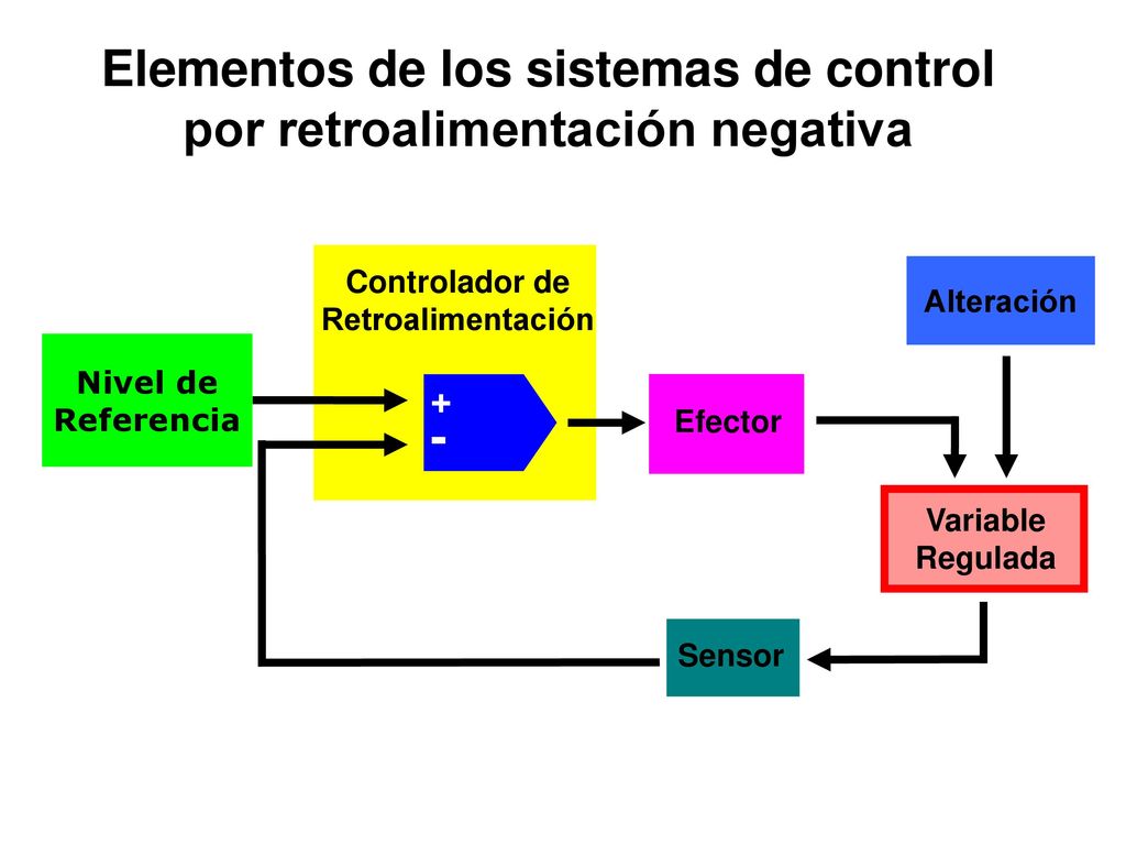 Elementos de los sistemas de control por retroalimentación negativa