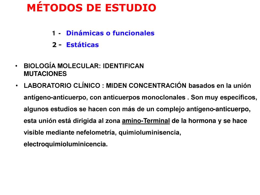 MÉTODOS DE ESTUDIO 1 - Dinámicas o funcionales 2 - Estáticas