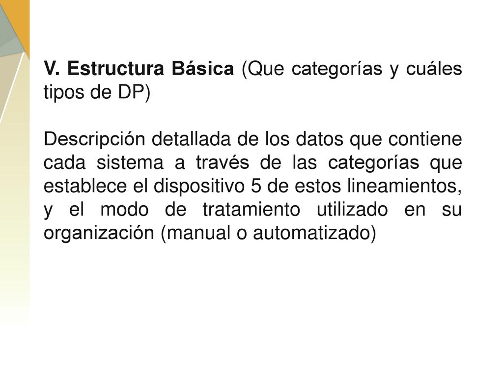 V. Estructura Básica (Que categorías y cuáles tipos de DP)
