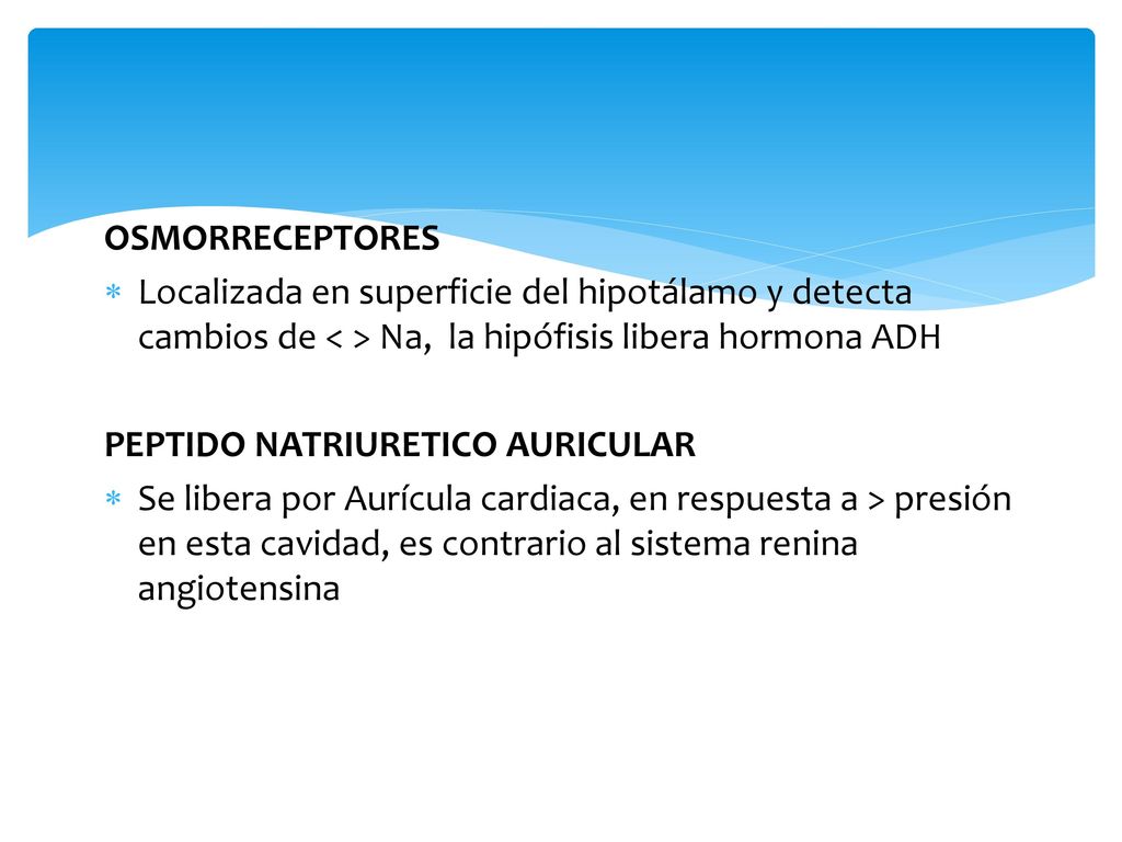 OSMORRECEPTORES Localizada en superficie del hipotálamo y detecta cambios de < > Na, la hipófisis libera hormona ADH.
