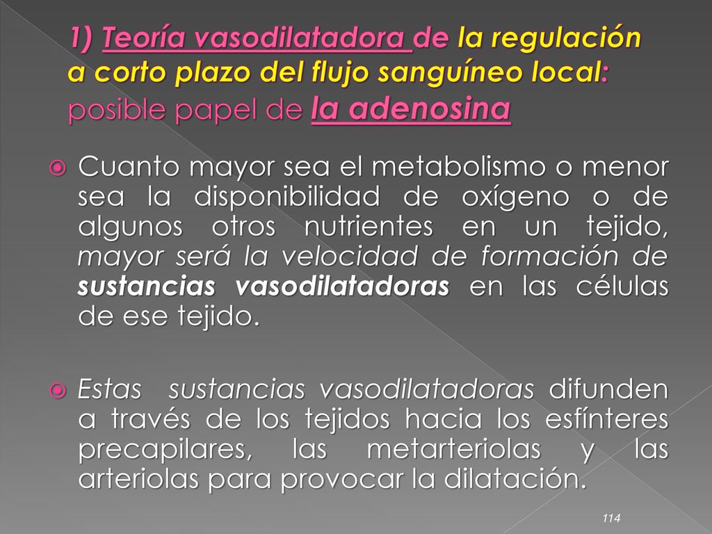 1) Teoría vasodilatadora de la regulación a corto plazo del flujo sanguíneo local: posible papel de la adenosina