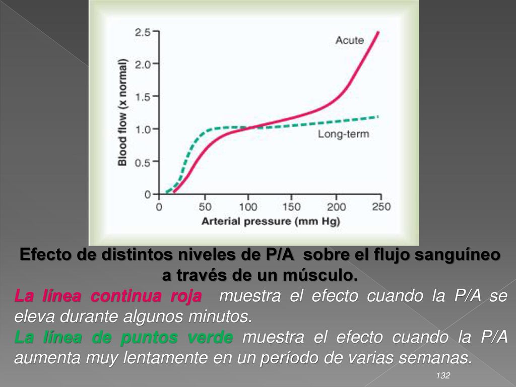 Efecto de distintos niveles de P/A sobre el flujo sanguíneo a través de un músculo.
