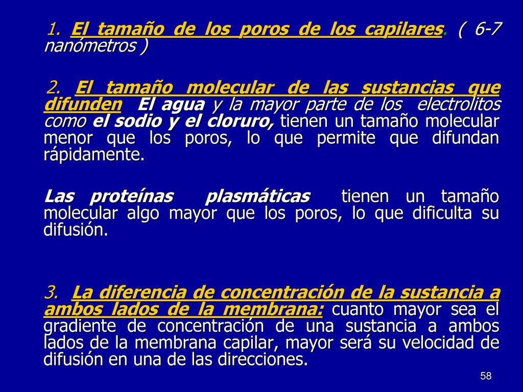 1. El tamaño de los poros de los capilares. ( 6-7 nanómetros )