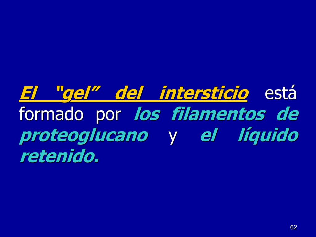 El gel del intersticio está formado por los filamentos de proteoglucano y el líquido retenido.
