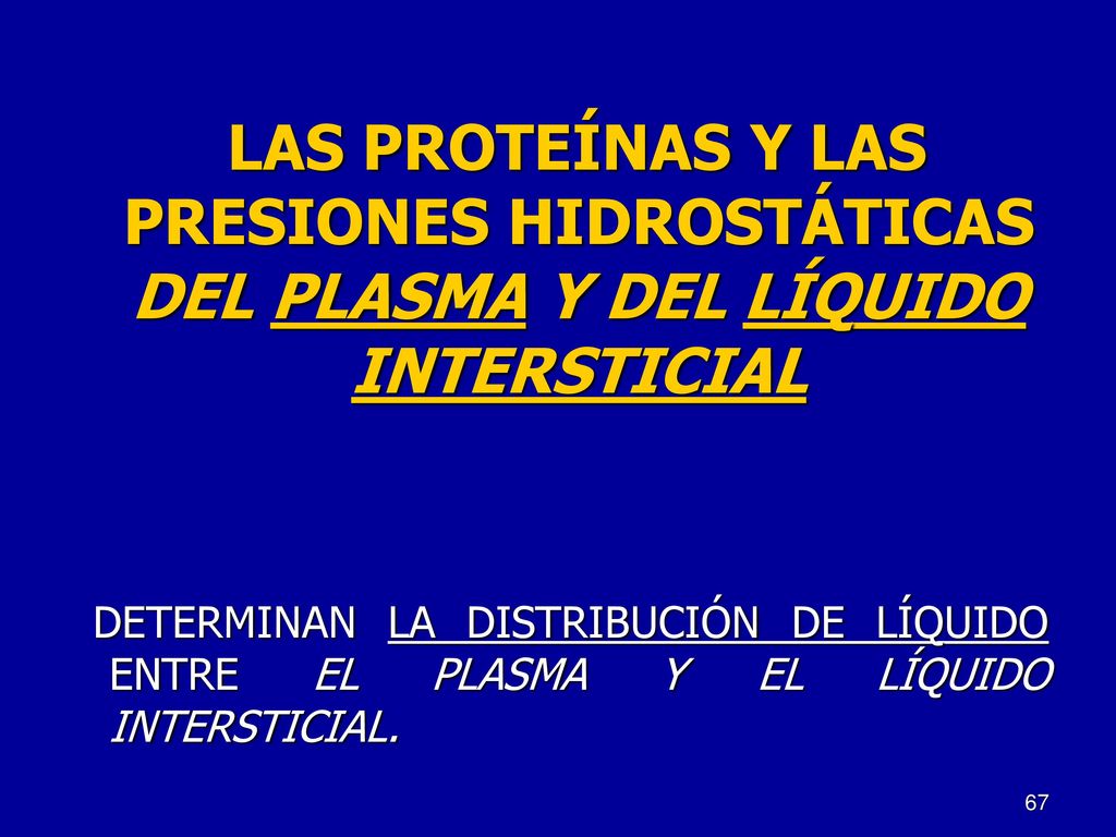 LAS PROTEÍNAS Y LAS PRESIONES HIDROSTÁTICAS DEL PLASMA Y DEL LÍQUIDO INTERSTICIAL