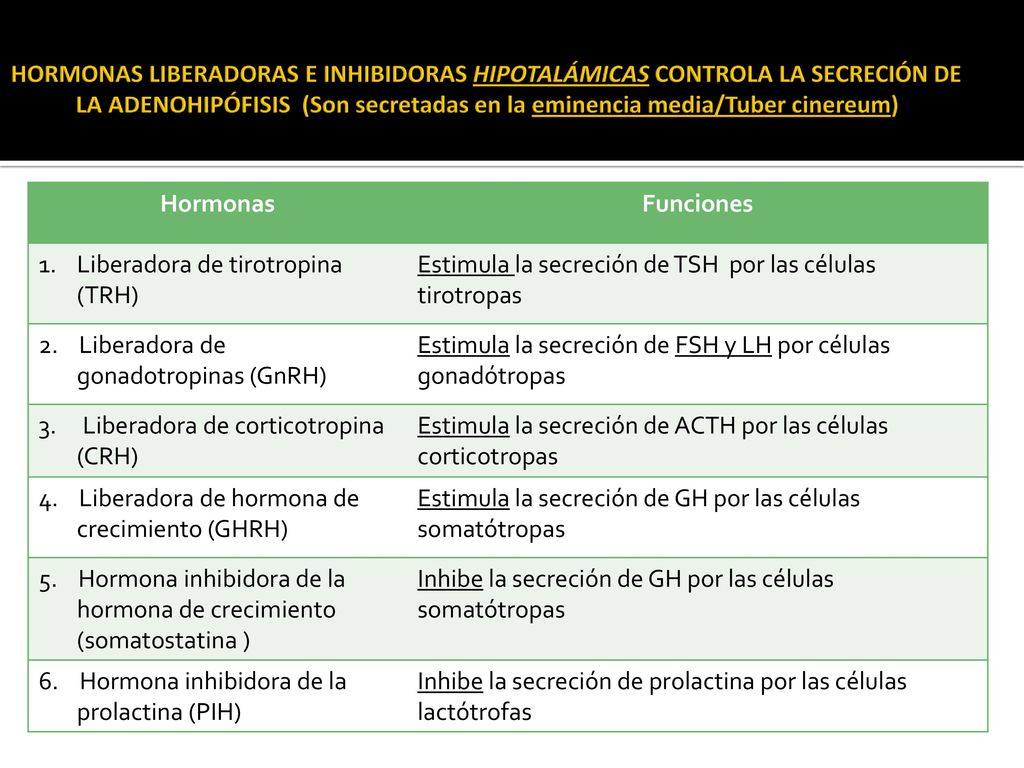 HORMONAS LIBERADORAS E INHIBIDORAS HIPOTALÁMICAS CONTROLA LA SECRECIÓN DE LA ADENOHIPÓFISIS (Son secretadas en la eminencia media/Tuber cinereum)