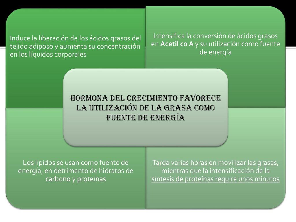 HORMONA DEL CRECIMIENTO FAVORECE LA UTILIZACIÓN DE LA GRASA COMO FUENTE DE ENERGÍA