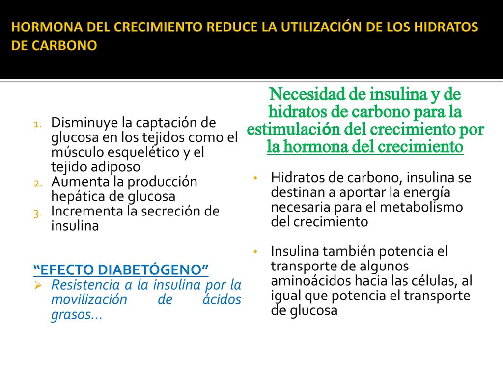 HORMONA DEL CRECIMIENTO REDUCE LA UTILIZACIÓN DE LOS HIDRATOS DE CARBONO