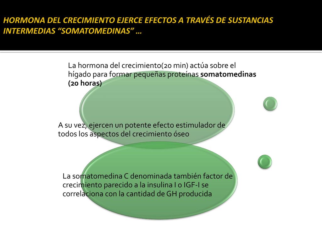 HORMONA DEL CRECIMIENTO EJERCE EFECTOS A TRAVÉS DE SUSTANCIAS INTERMEDIAS SOMATOMEDINAS …