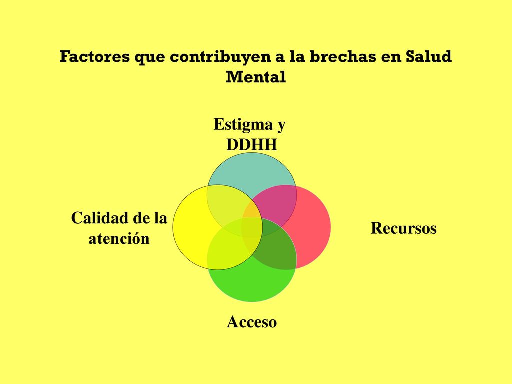Factores que contribuyen a la brechas en Salud Mental