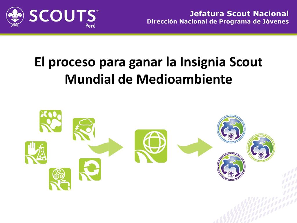 El proceso para ganar la Insignia Scout Mundial de Medioambiente