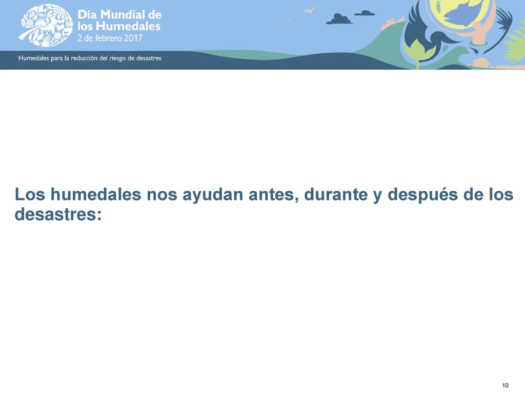 Los humedales nos ayudan antes, durante y después de los desastres: