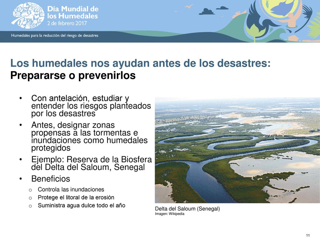 Los humedales nos ayudan antes de los desastres: Prepararse o prevenirlos