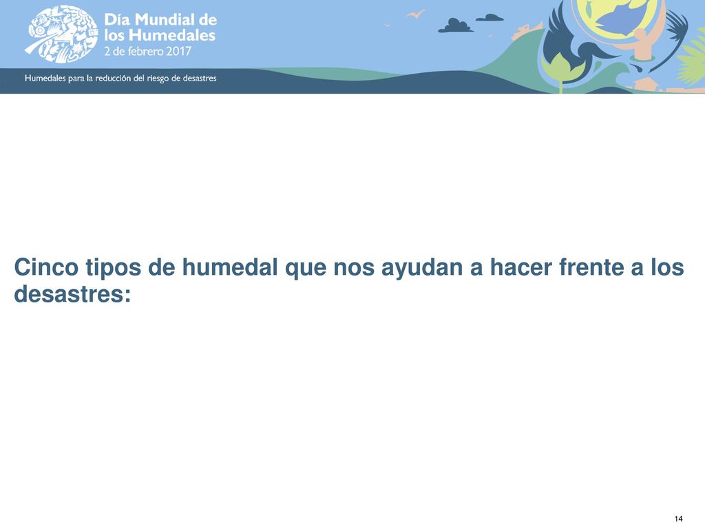 Cinco tipos de humedal que nos ayudan a hacer frente a los desastres:
